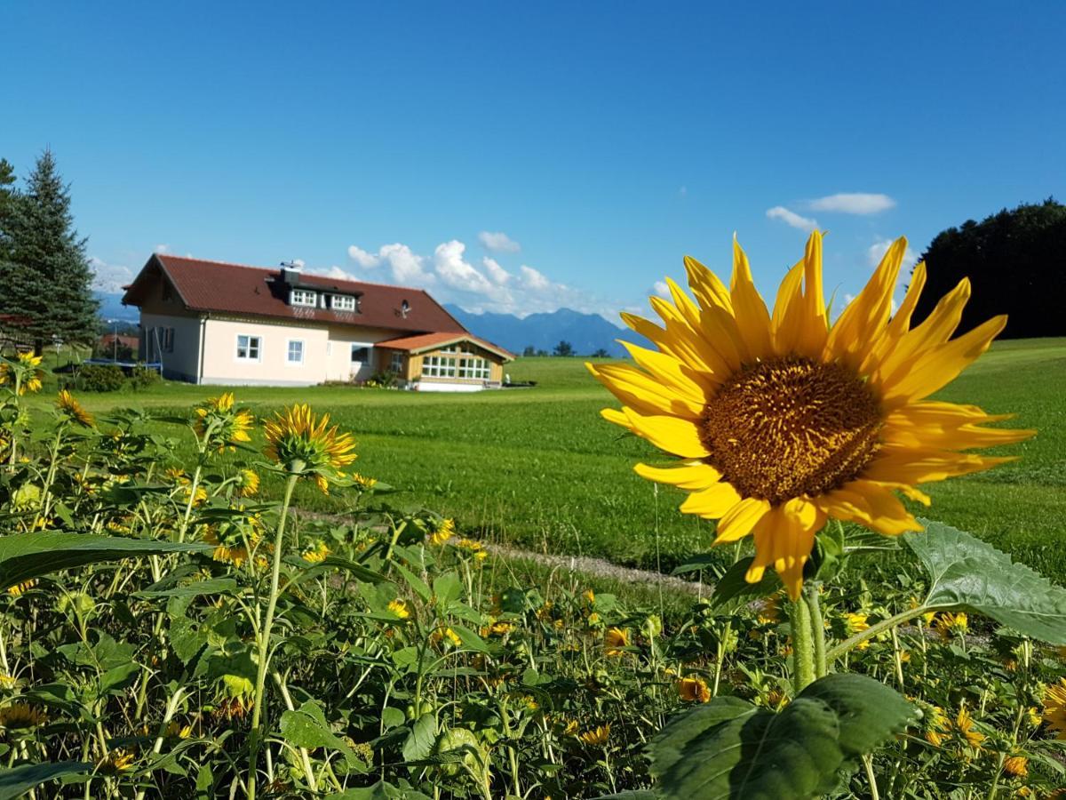 Farm stay Gaestehaus Annemarie *