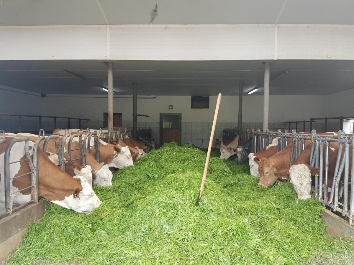 Farm stay Gaestehaus Annemarie Rimsting