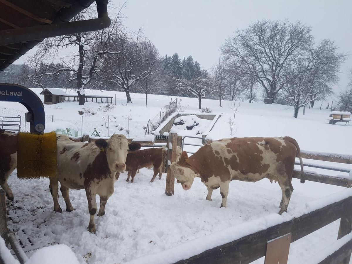 Farm stay Gaestehaus Annemarie Rimsting